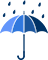 rain over umbrella