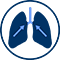 lungs